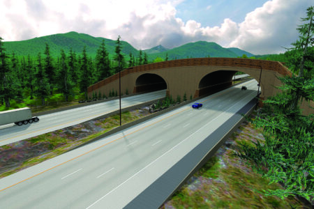 Ambitious Wildlife Overcrossing Completed in Washington State Image